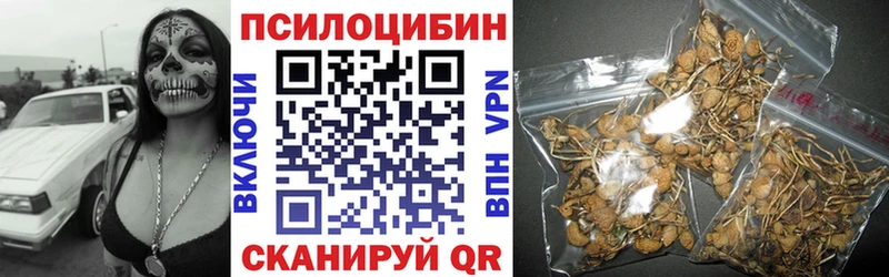 Псилоцибиновые грибы MAGIC MUSHROOMS  Туринск 